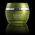 Creme de noite Anti-Rugas Ecollagen 50 ml